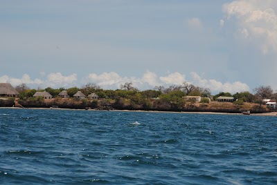 Photos of Wasini Mpunguti Lodge