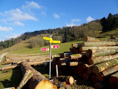 Photos of Tariche Vacances