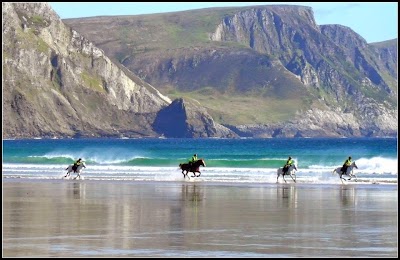 Photos of Calvey's Equestrian & Homestay Language Riding Centre
