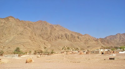 Photos of بئر زور