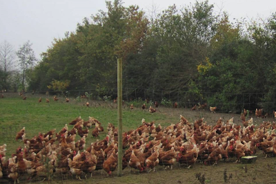 Photos of Djursland Landboforening