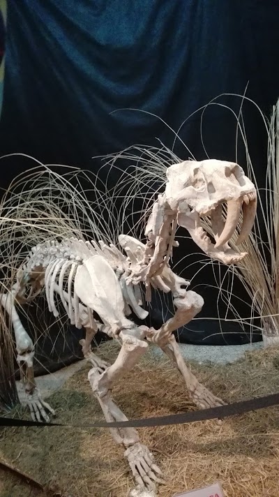 Photos of Museum of Anthropology and Natural Sciences