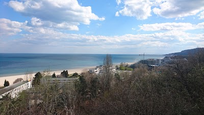 Photos of Vili "Magnoliya" (Iztok)