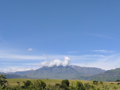 Photos of Inkosana Lodge