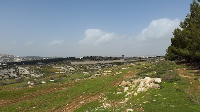 Photos of صالون كوني انتي