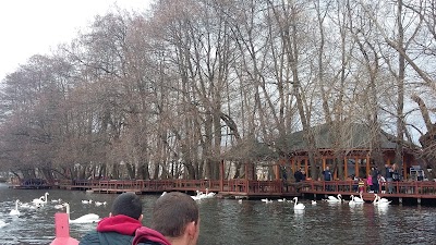 Photos of National Park of Drilon