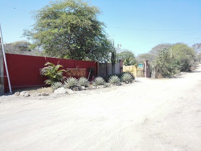 Photos of muyuyo lodge