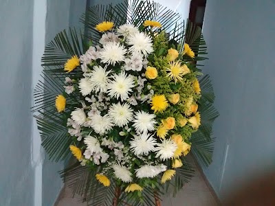 Photos of Floristeria Y Variedades Socorro Tropical