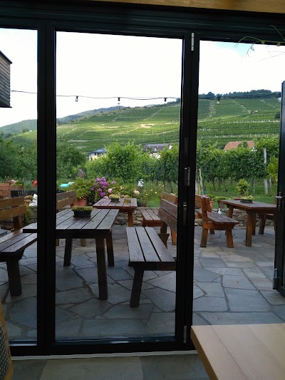 Photos of Weingut Donabaum in der Spitz - Martin & Alexandra Donabaum