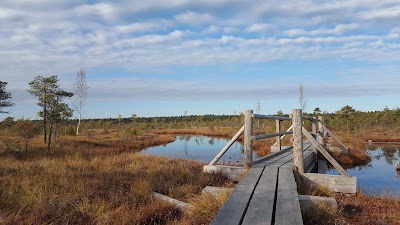 Photos of Kemeri Swamps