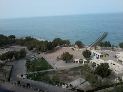 Photos of حديقة العقيلة