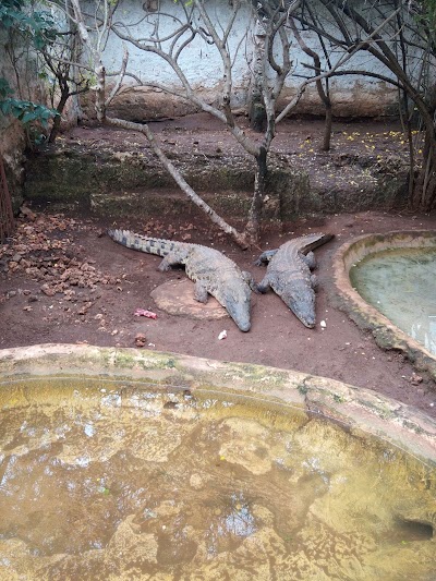 Photos of African Snake Park