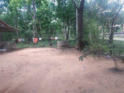 Photos of Lion Resort