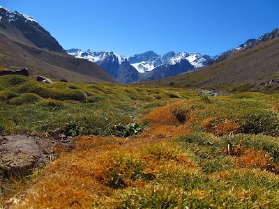 Photos of Parque Andino Juncal