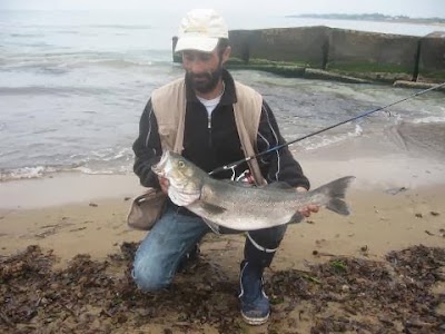 Photos of Captain Hook The Best Fishing Store