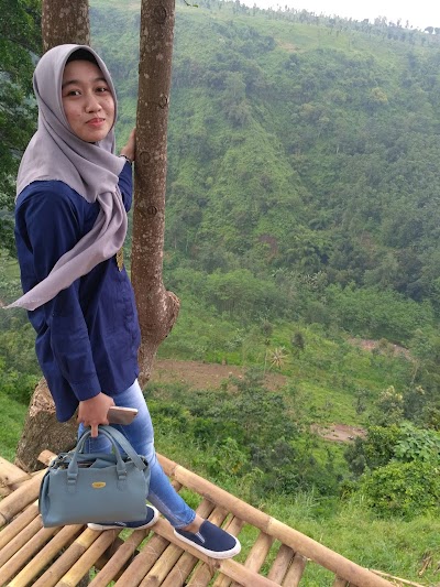 Photos of Madakaripura Forest Park