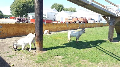 Photos of Thiessen Apple Orchard
