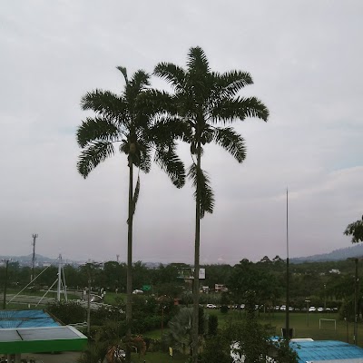 Photos of Hotel Buenavista