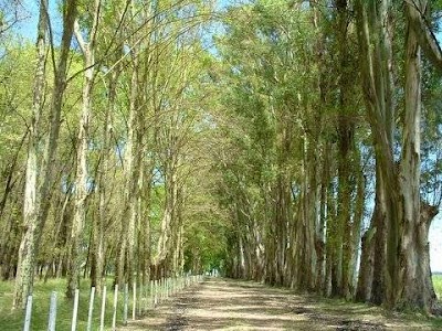 Photos of Los Cuatro Amaneceres Hotel de campo y eventos