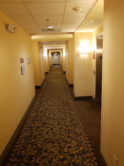 Photos of Comfort Suites Southport
