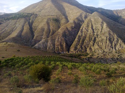 Photos of مشيتيوة