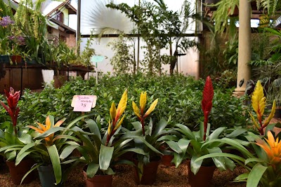 Photos of Vivero Sarley