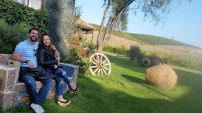Photos of Casa Marin