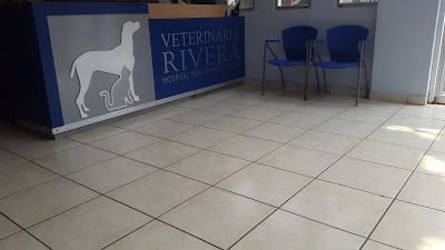Photos of Veterinaria Rivera