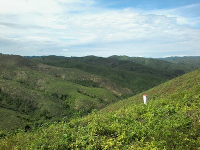 photo of Kyetpaung Reserved Forest