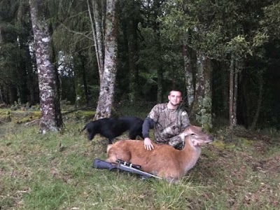 Photos of Wildside Getaway