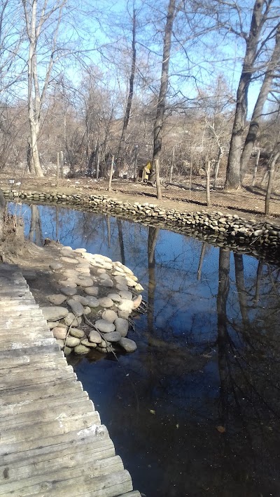 Photos of Holiday Park &ldquo;Ranchoto&rdquo;