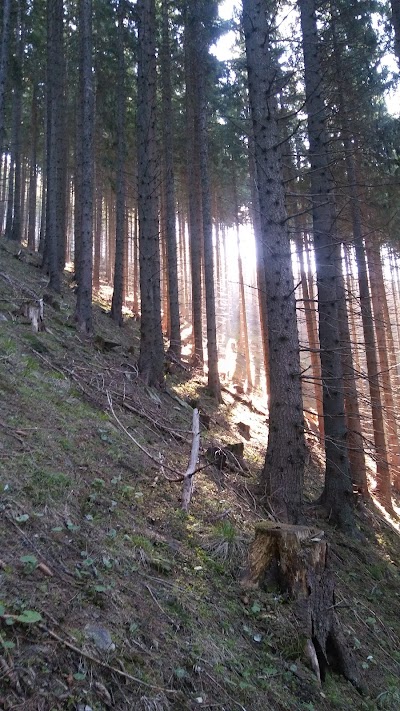 Photos of Thalerkogel