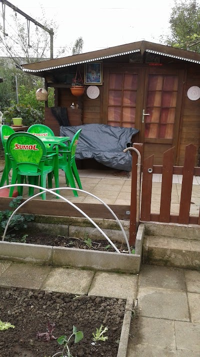 Photos of Green Art Caf&eacute;