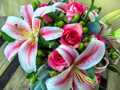 Photos of Gray St Flowers