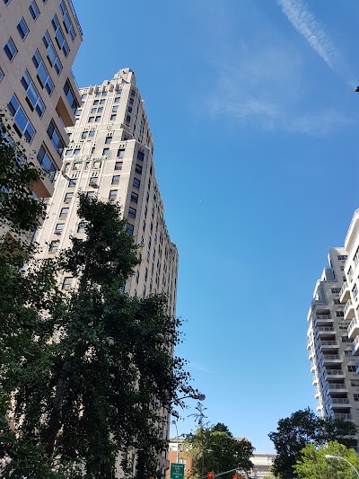 Photos of Gray Line New York