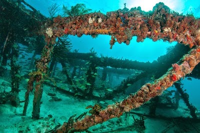 Photos of Abyss Dive Center