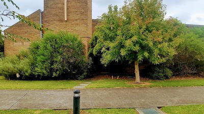 Photos of St. Patrick's Primary School