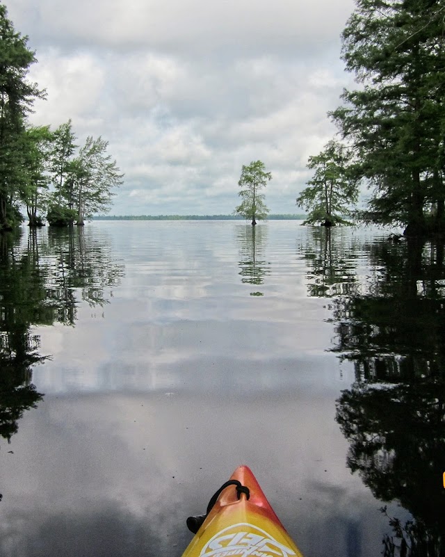 Lake Drummond