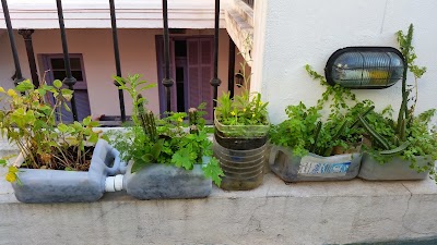 Photos of Hostel Bienvenida Golondrina