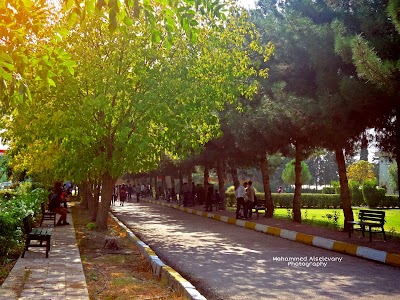Photos of Agriculture and Forestry