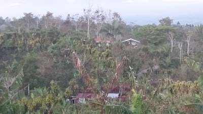 Photos of Valle Azul de agua Buena