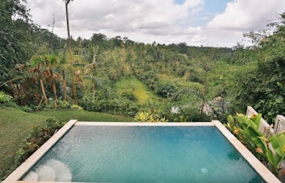 Photos of The Forest Villa Ubud