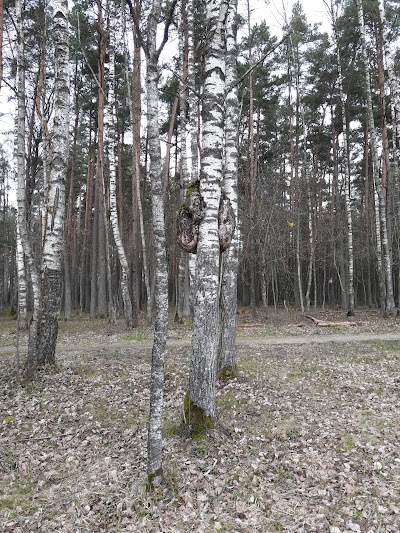 park