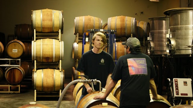 MJA Vineyards