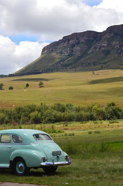 Photos of Vintage Tours