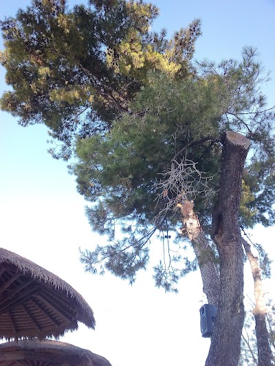 Photos of Akrotiri Beach Bar