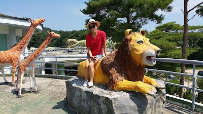 Photos of 화진포테마파크