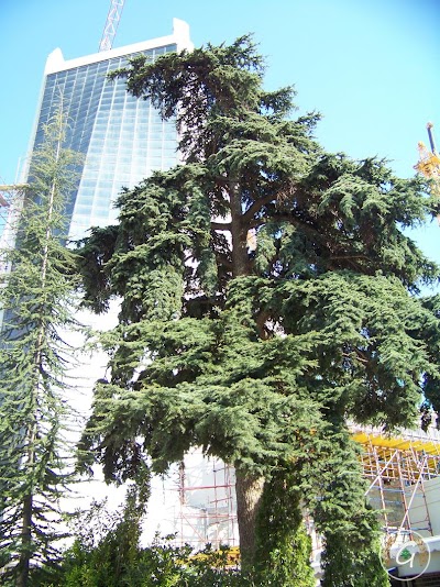 Photos of Sanctuaire N.d. Du Liban (main Gate) - C