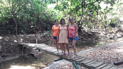 Photos of Osa Interactive Gardens