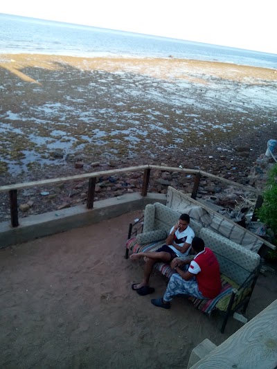 Photos of Penguin Divers Dahab